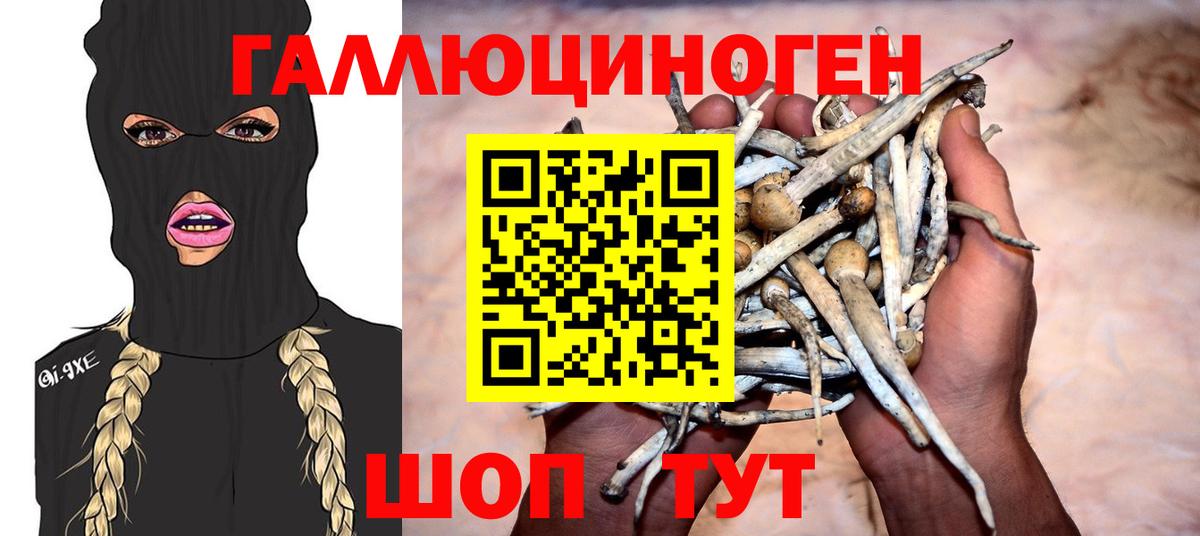 Зеленодольск  Галлюциногенные грибы Cubensis  Вход с VPN  Псилоцибиновые грибы Psilocybe 